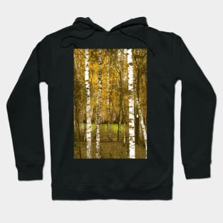 Urban Birches Hoodie